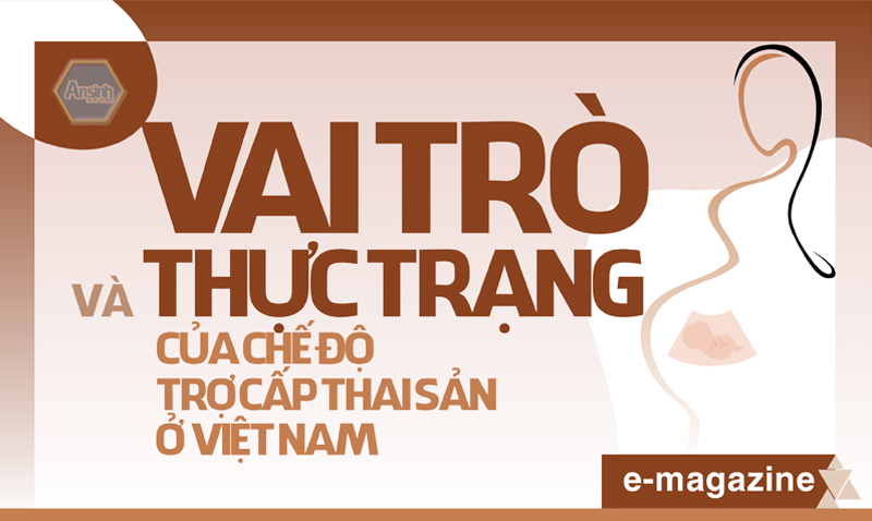 Vai trò và thực trạng của chế độ trợ cấp thai sản ở Việt Nam