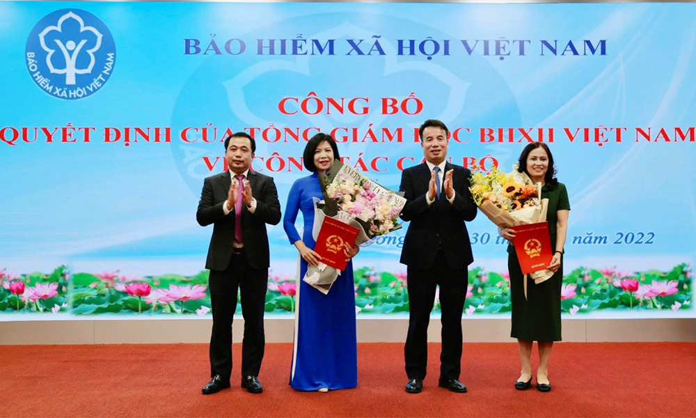 Bổ nhiệm bà Trần Thị Hương giữ chức Giám đốc BHXH tỉnh Hải Dương