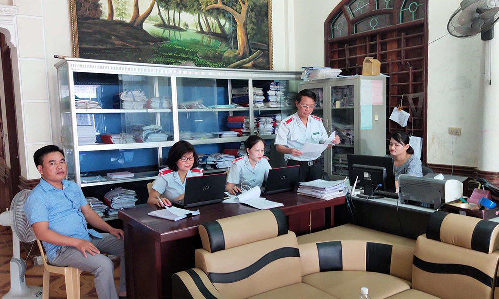 BHXH Việt Nam hướng dẫn triển khai thực hiện thanh tra chuyên ngành và kiểm tra 