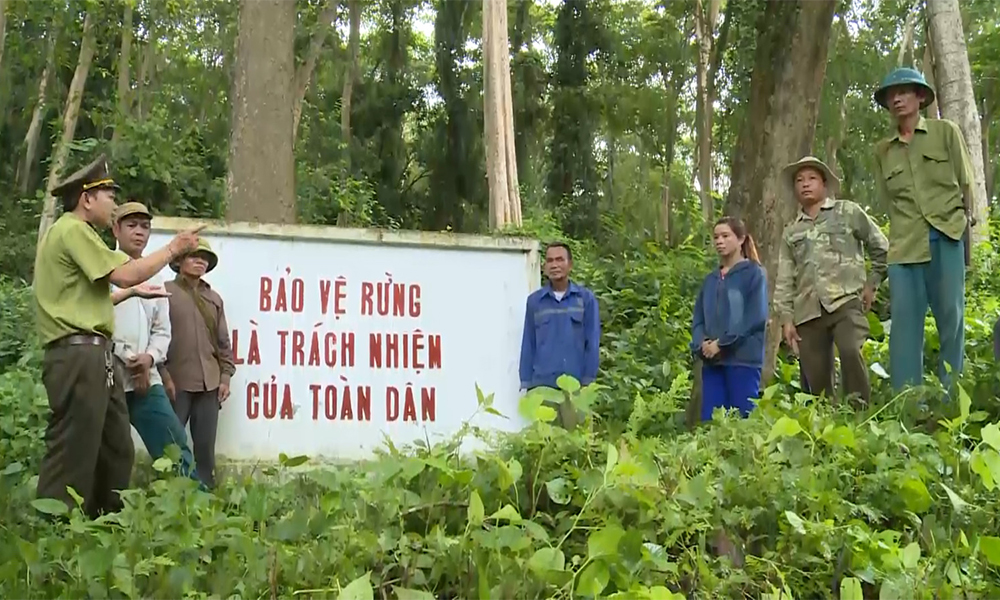 Việt Nam nhận 51,5 triệu USD từ Ngân hàng Thế giới nhờ giảm phát thải qua bảo tồn rừng