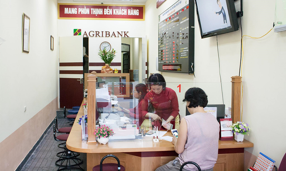 Nhiều phụ nữ trên địa bàn Hà Nội được hỗ trợ vay vốn phát triển sản xuất kinh doanh