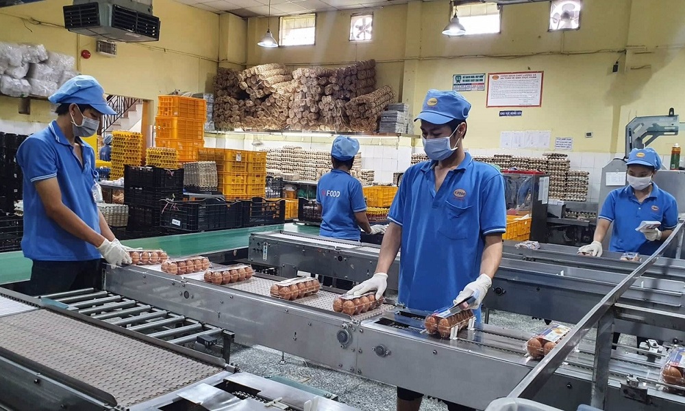 Người lao động phải đăng ký thông tin về BHXH, BH thất nghiệp trên cơ sở dữ liệu quốc gia