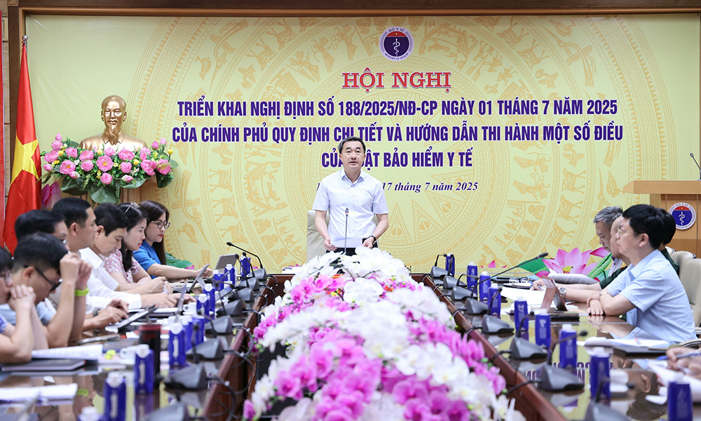 Triển khai Nghị định quy định chi tiết và hướng dẫn thi hành một số điều của Luật BHYT