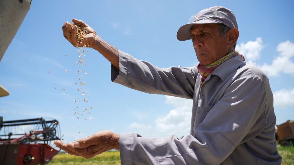 Phim tài liệu đặc biệt về tình hữu nghị Việt Nam - Cuba sẽ phát sóng ngày 2/9
