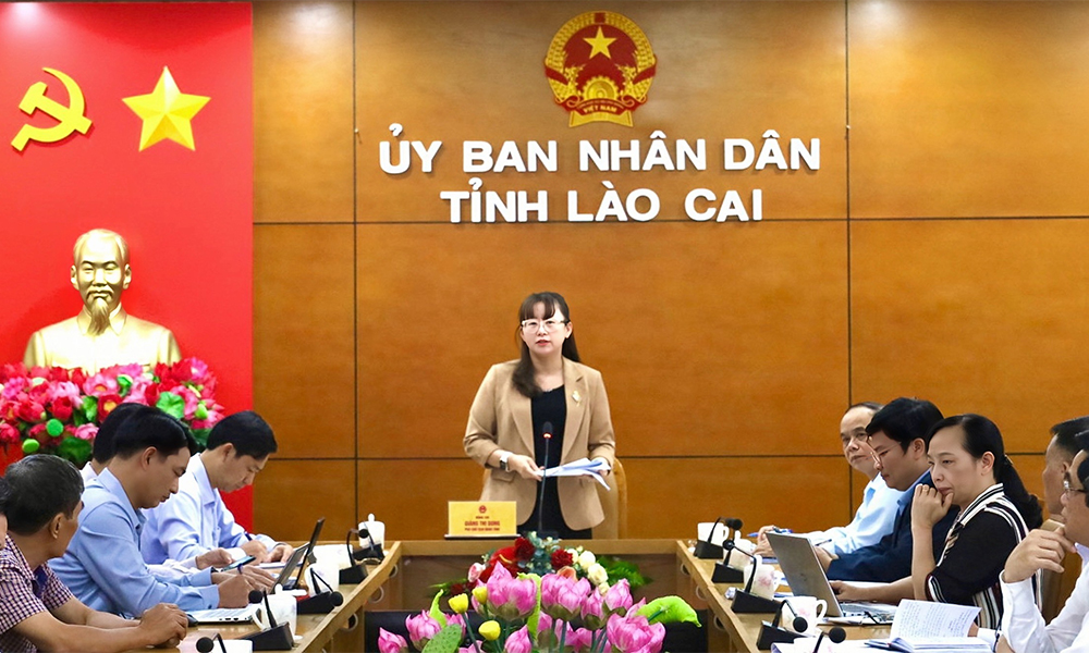 Lào Cai: Quyết tâm hoàn thành chỉ tiêu BHXH, BHYT năm 2023