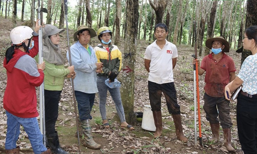 Đắk Nông: Báo động tình trạng DN nhỏ, “siêu nhỏ” chậm đóng, trốn đóng BHXH, BHYT của NLĐ

